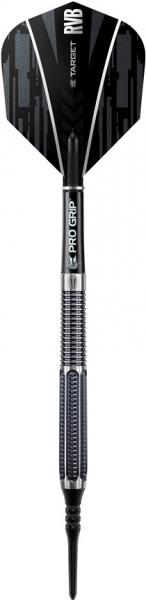 Raymond van Barneveld RVB95 95% 19g soft